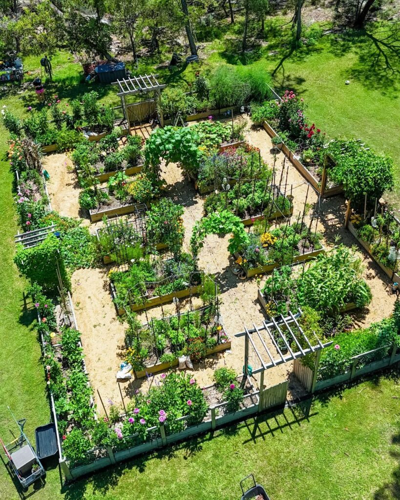 An aerial view of an organized vegetable garden with raised beds, trellises, and green plants.