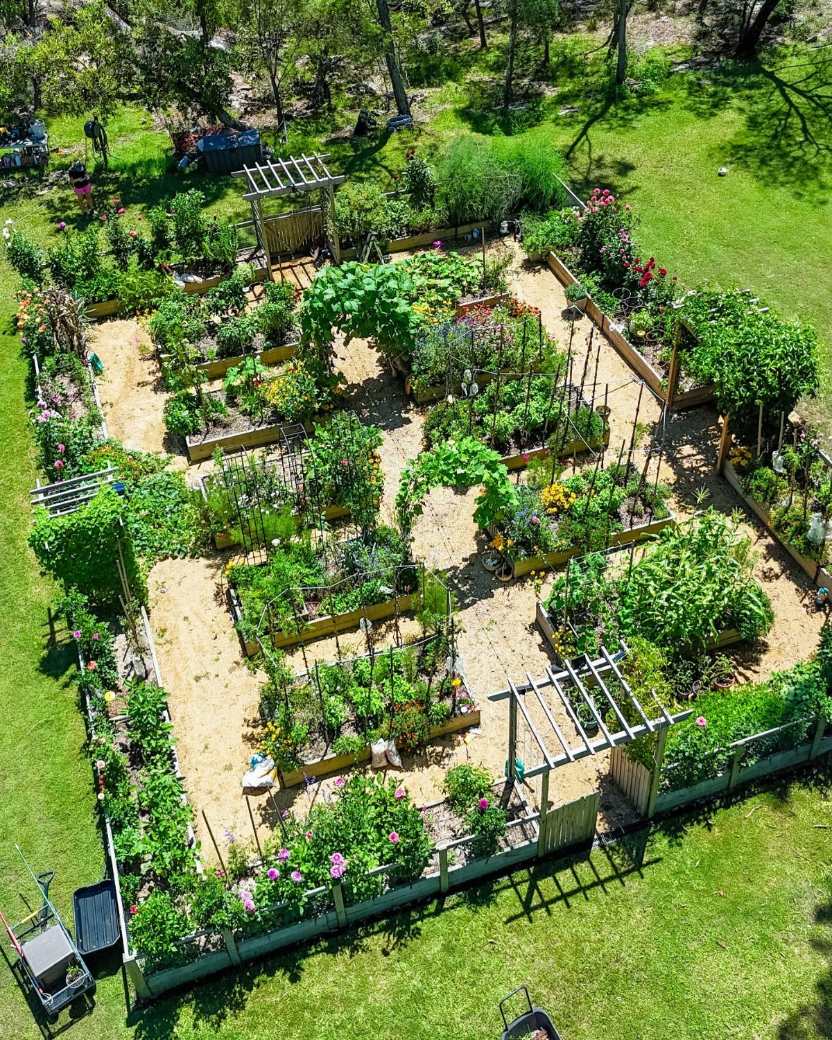 An aerial view of an organized vegetable garden with raised beds, trellises, and green plants.